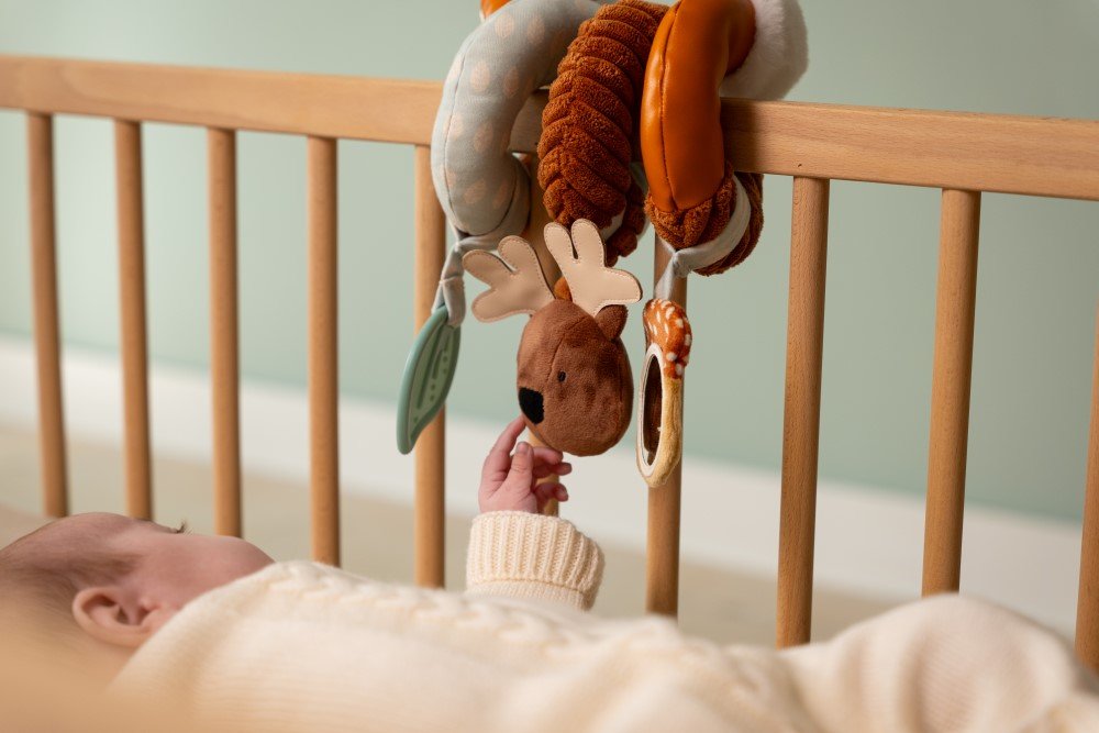 Activity Spiral Forest - Image 3