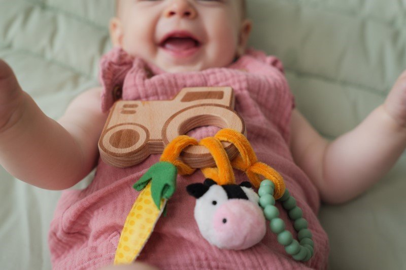 Little Big Friends Παιχνίδι Δραστηριοτήτων 0+ Farm - Image 4