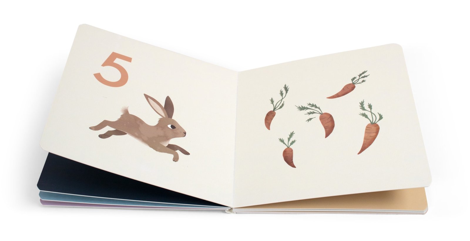 Filibabba Παιδικό Βιβλίο – Count to Ten - Image 4