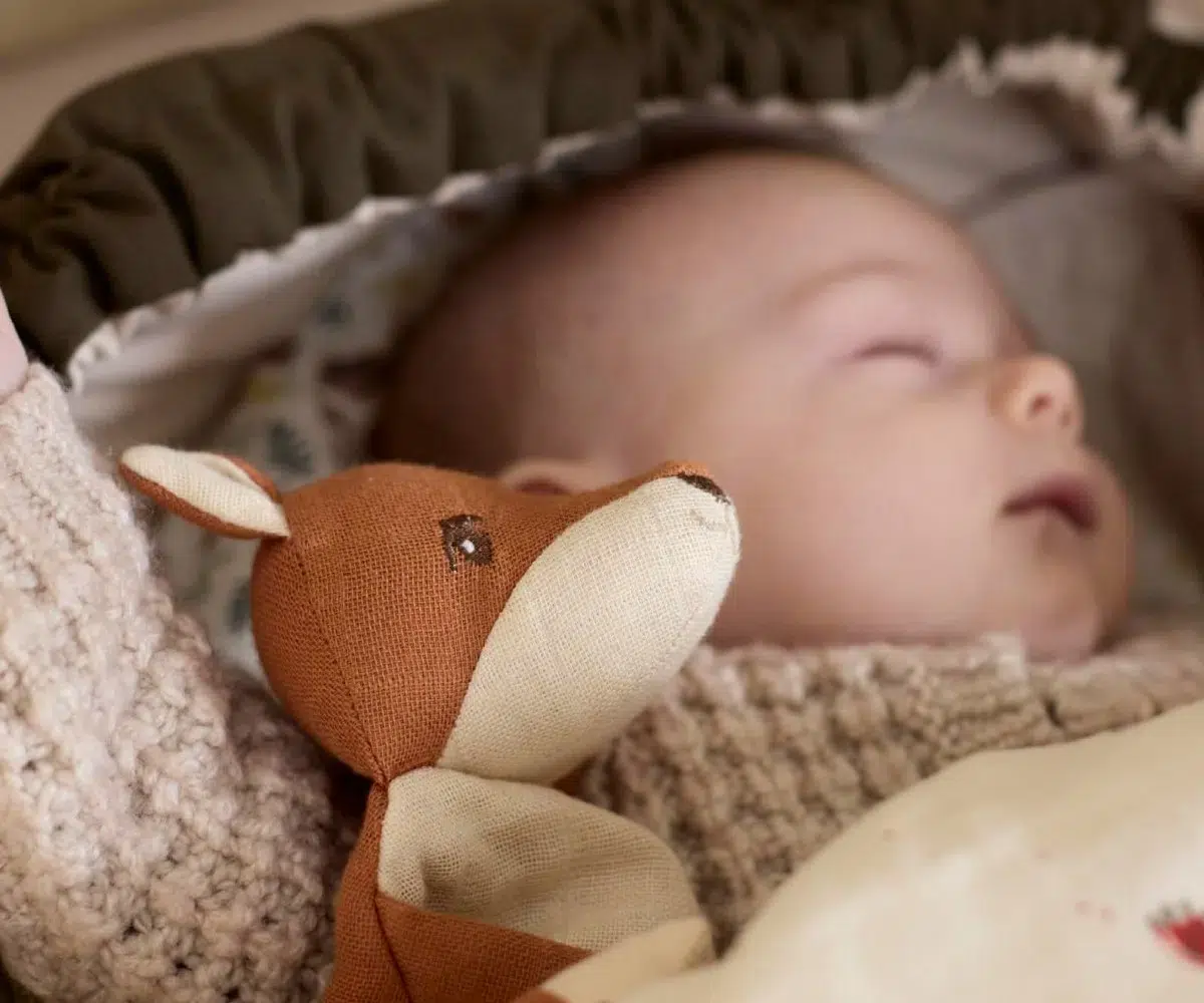 Filibabba Βρεφικό Πανάκι Παρηγοριάς με Μασητικό Σιλικόνης – Freya the Fox 0m+ - Image 2