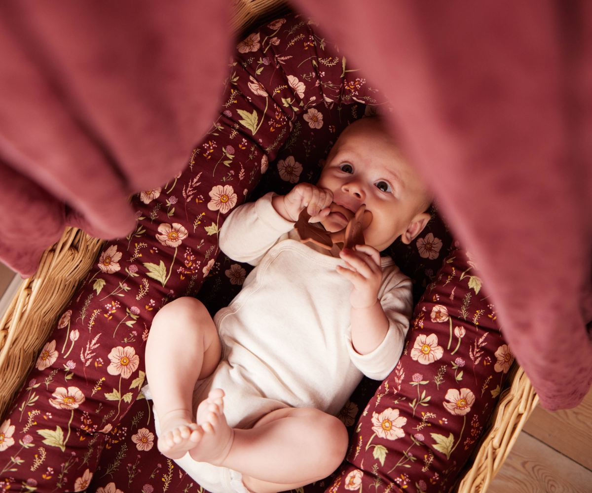 Filibabba Μασητικό Σιλικόνης – Flower 0m+ - Image 3