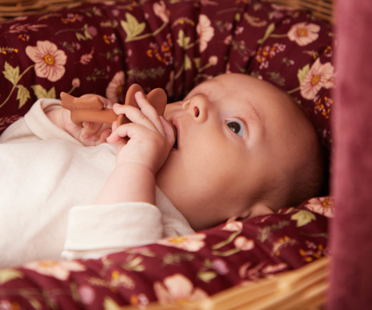 Filibabba Μασητικό Σιλικόνης – Flower 0m+ - Image 2