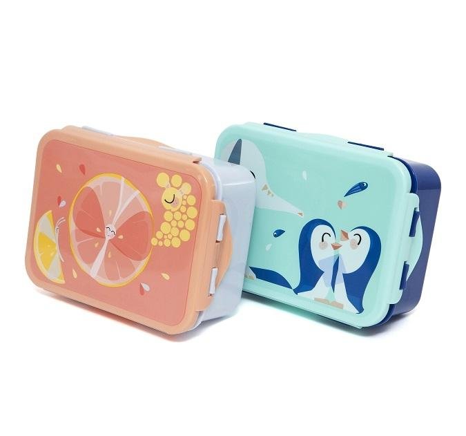 Petit Monkey – Lunch Box Flies - Image 3
