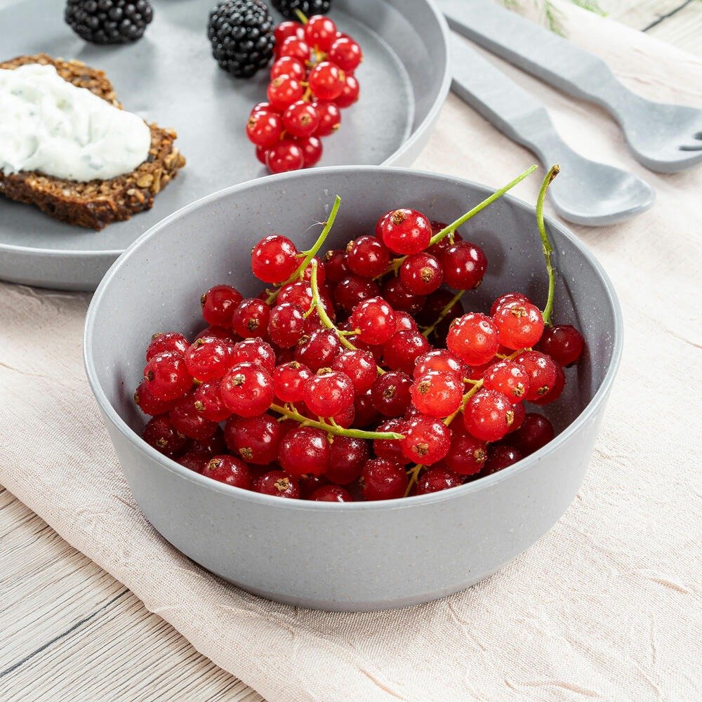 Reer Μπολ σετ 2 τμχ-Μπλε/Γκρι - Image 2