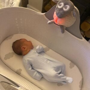 Alternative view of Ewan το προβατάκι DELUXE: Επαναφορτιζόμενο Βοήθημα Ύπνου με αισθητήρα κλάματος και φως- Γκρι