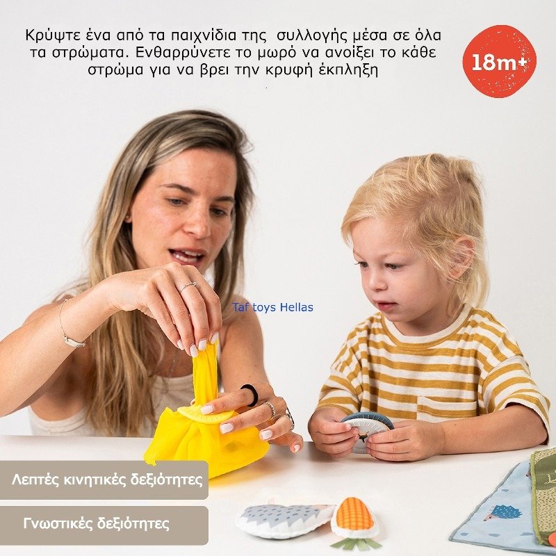 Taf Toys εκπαιδευτικό παιχνίδι Peek-a-boo What's inside - Image 6