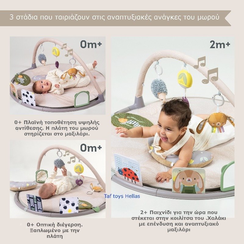 Taf Toys Γυμναστήριο - Χαλάκι Δραστηριοτήτων Activity Gym Tummy Time - Image 6