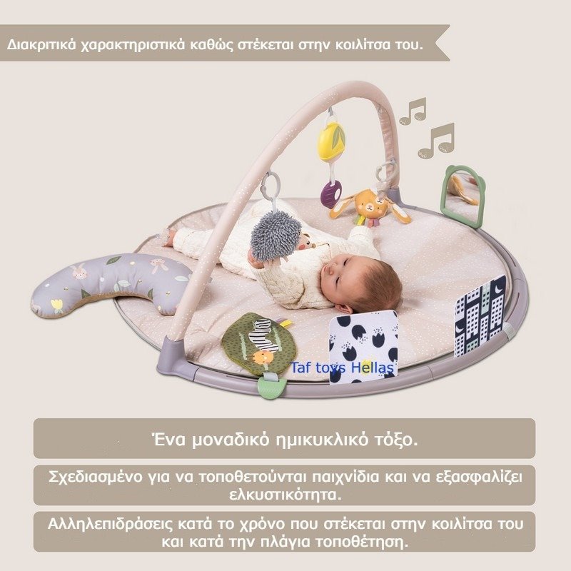 Taf Toys Γυμναστήριο - Χαλάκι Δραστηριοτήτων Activity Gym Tummy Time - Image 2