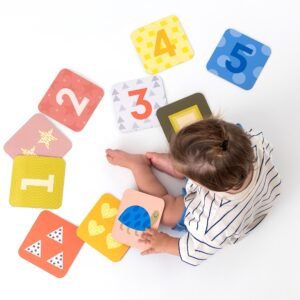 Taf Toys Οι πρώτες μου εκπαιδευτικές κάρτες - Image 7