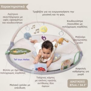 Taf Toys Γυμναστήριο - Χαλάκι Δραστηριοτήτων Activity Gym Tummy Time - Image 3