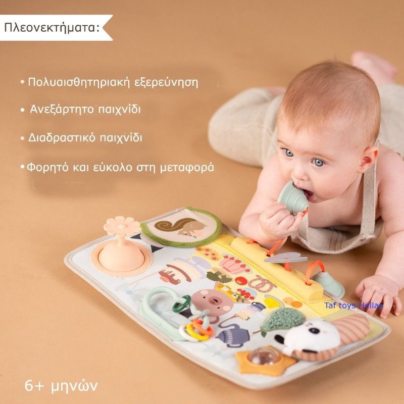 Taf Toys Πολυαισθητηριακό Ταμπλό Δραστηριοτήτων 6m+ - Image 4