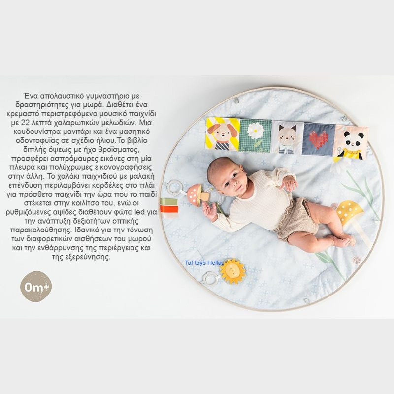 Taf Toys Γυμναστήριο Δραστηριοτήτων Melody Bloom Gym - Image 7