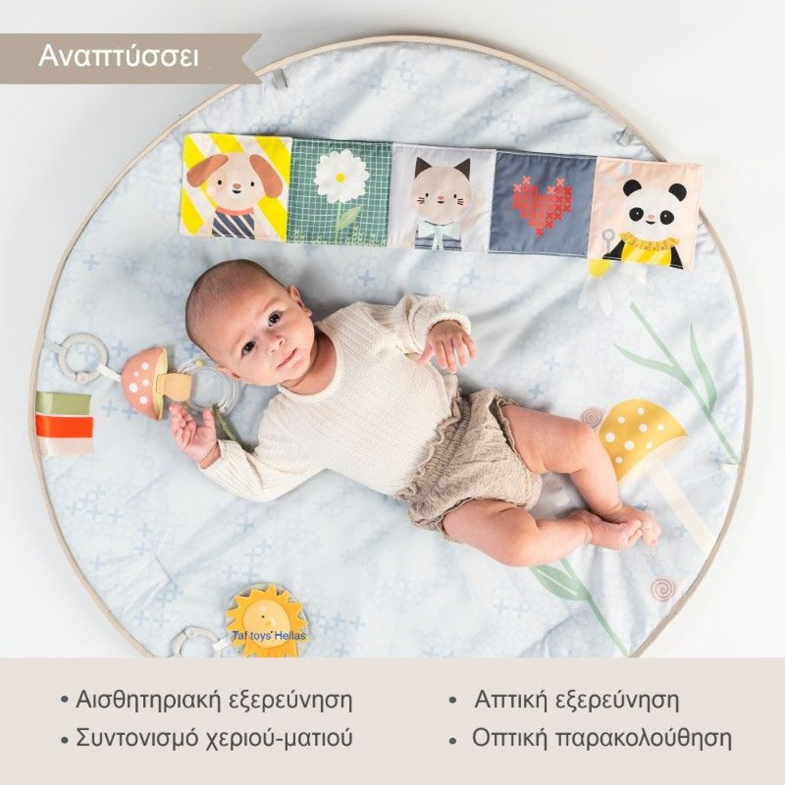 Taf Toys Γυμναστήριο Δραστηριοτήτων Melody Bloom Gym - Image 6
