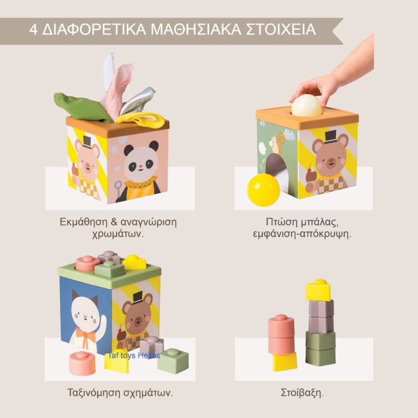 Taf Toys Βρεφικό Παιχνίδι Κύβος Για 6+ Μηνών Play & Discover - Image 3