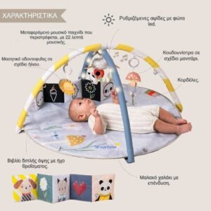 Taf Toys Γυμναστήριο Δραστηριοτήτων Melody Bloom Gym - Image 3