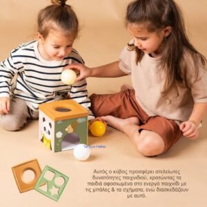 Taf Toys Βρεφικό Παιχνίδι Κύβος Για 6+ Μηνών Play & Discover - Image 6