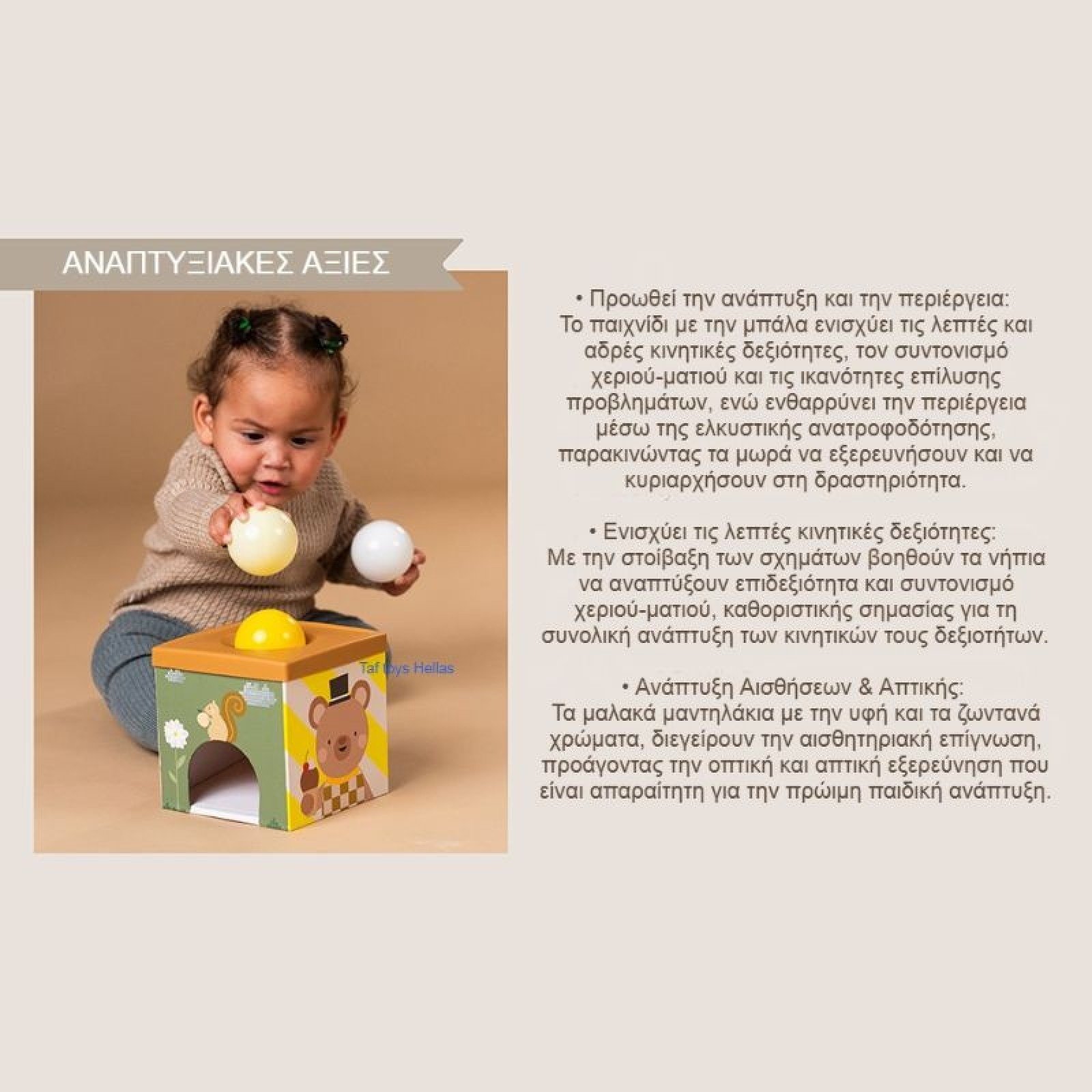 Taf Toys Βρεφικό Παιχνίδι Κύβος Για 6+ Μηνών Play & Discover - Image 7